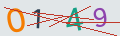verifycode